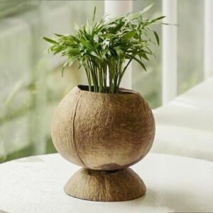 Coconut Shell Planter | Eco-Friendly Natural Decor